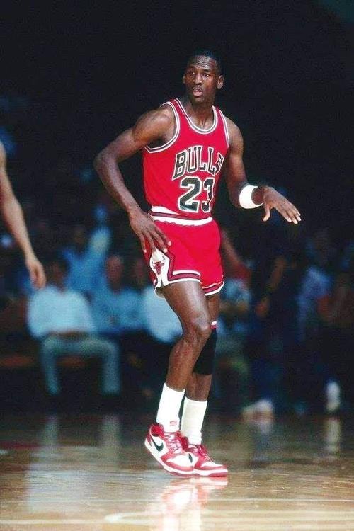 制度的优化 制度的优化